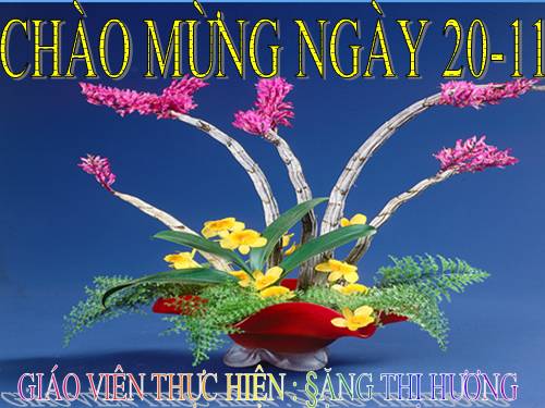 Chương II. §5. Hệ số góc của đường thẳng y = ax + b (a ≠ 0)
