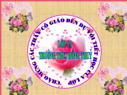 Các bài Luyện tập
