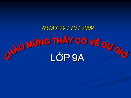 Các bài Luyện tập
