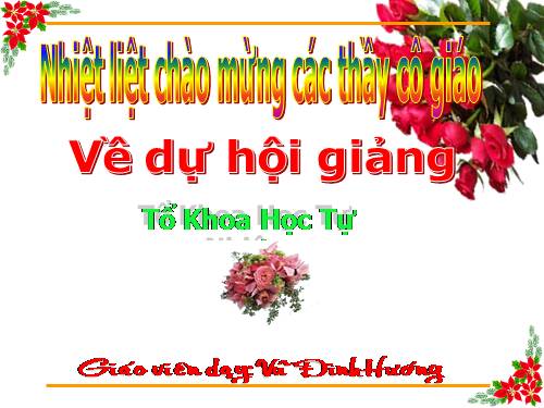 Chương II. §2. Hàm số bậc nhất