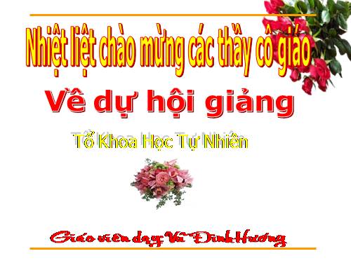 Chương II. §2. Hàm số bậc nhất