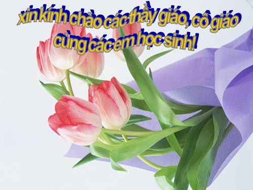 Chương I. §9. Căn bậc ba