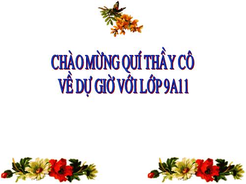 Các bài Luyện tập
