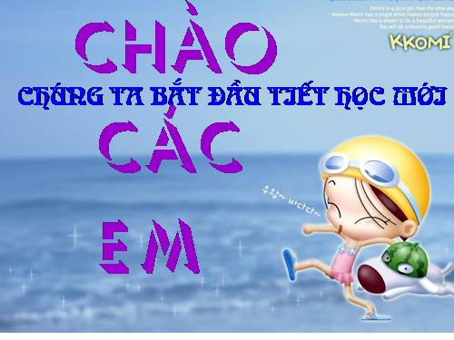 Các bài Luyện tập