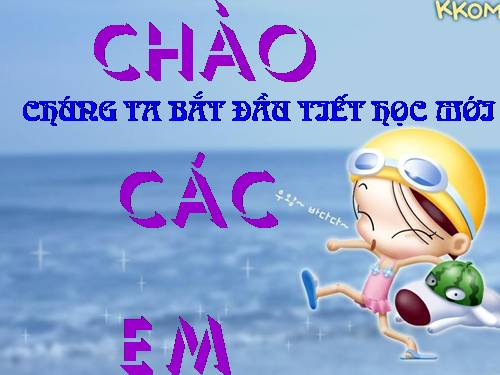 Các bài Luyện tập
