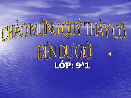 Các bài Luyện tập