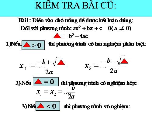 Các bài Luyện tập