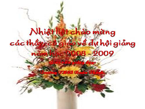 Các bài Luyện tập