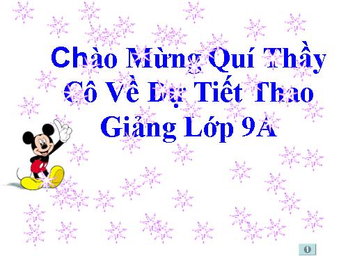 Chương II. §2. Hàm số bậc nhất