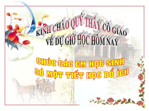 Các bài Luyện tập