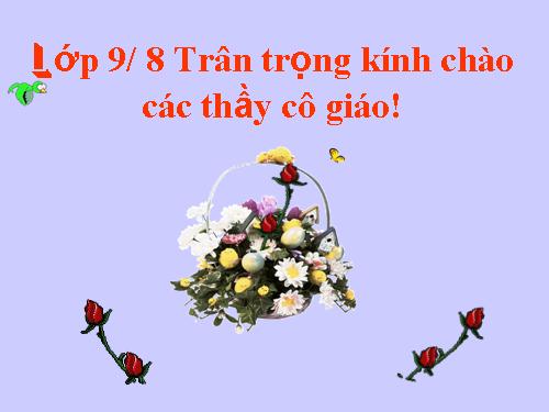 Các bài Luyện tập