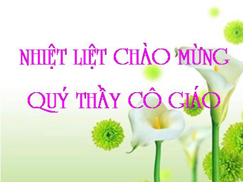 Chương IV. §3. Phương trình bậc hai một ẩn