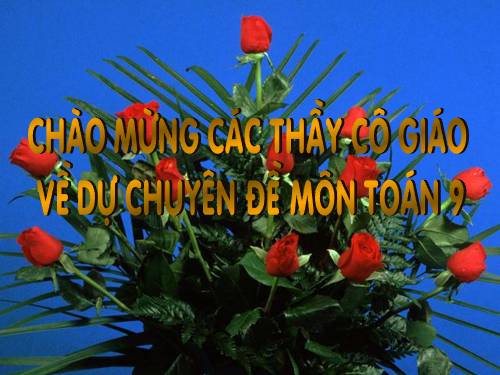 Các bài Luyện tập