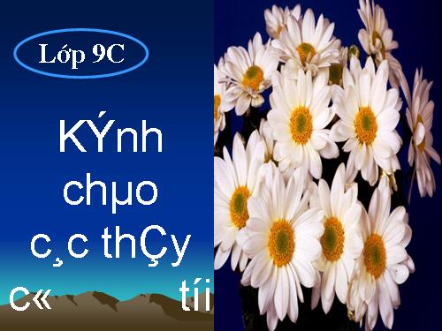 Ôn tập cuối năm