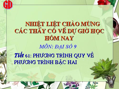 Chương IV. §7. Phương trình quy về phương trình bậc hai
