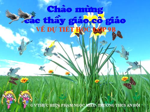 Các bài Luyện tập
