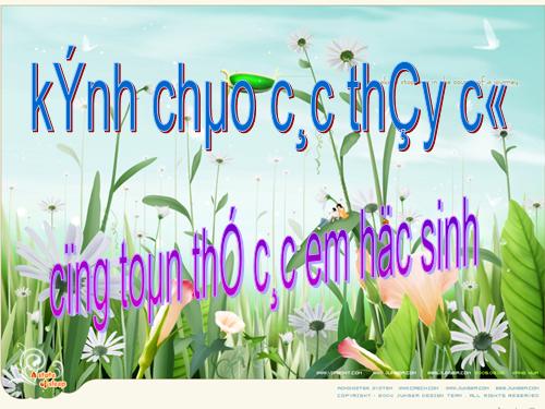 Các bài Luyện tập