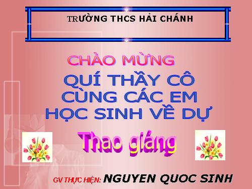 Các bài Luyện tập