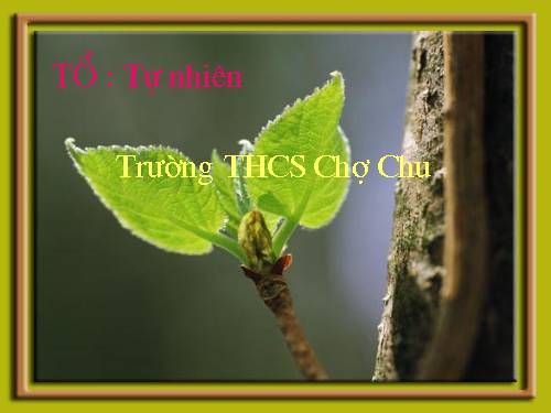 Chương III. §2. Hệ hai phương trình bậc nhất hai ẩn