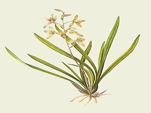 Chương II. §2. Hàm số bậc nhất