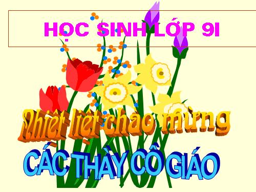 Chương II. §2. Hàm số bậc nhất