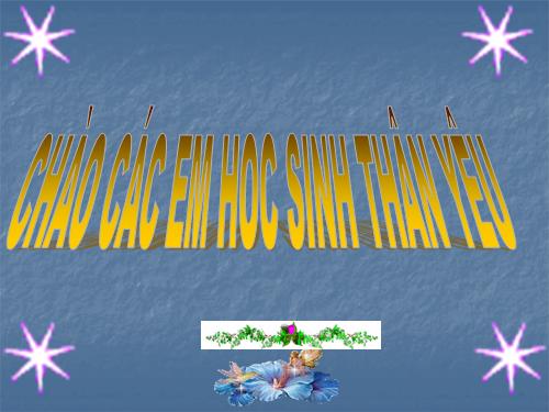 Các bài Luyện tập