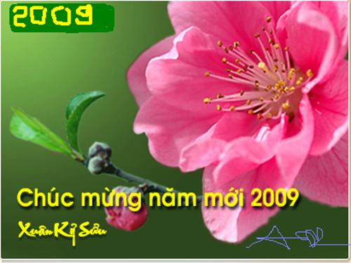 Chương IV. §1. Hàm số y = ax² (a ≠ 0)