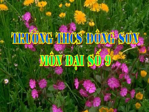 Chương IV. §3. Phương trình bậc hai một ẩn