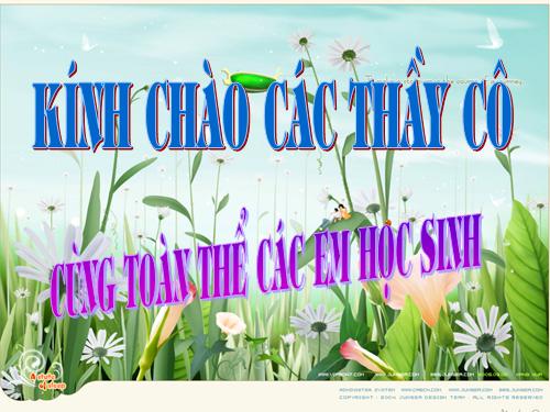 Các bài Luyện tập
