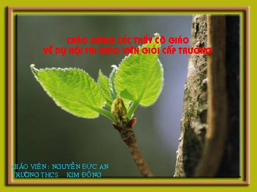 Chương III. §2. Hệ hai phương trình bậc nhất hai ẩn