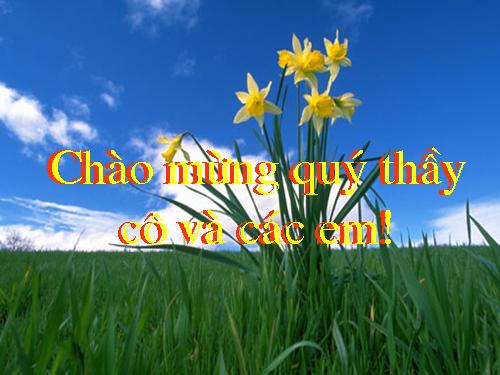 Chương III. §2. Hệ hai phương trình bậc nhất hai ẩn