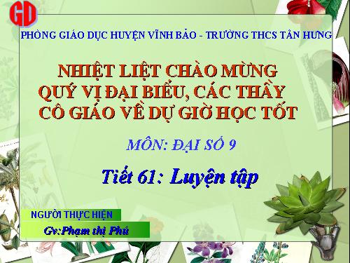 Các bài Luyện tập