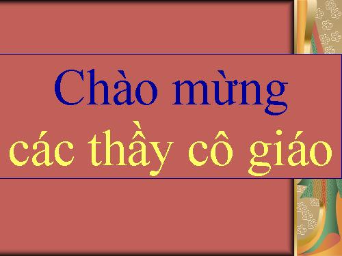 Các bài Luyện tập