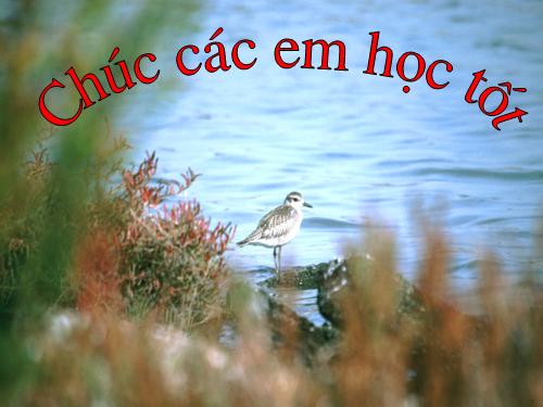 Chương II. §3. Đồ thị của hàm số y = ax + b (a ≠ 0)