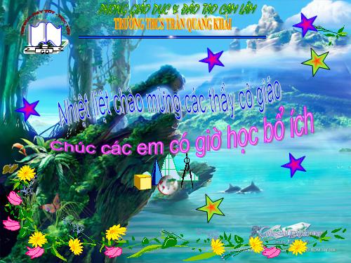 Các bài Luyện tập