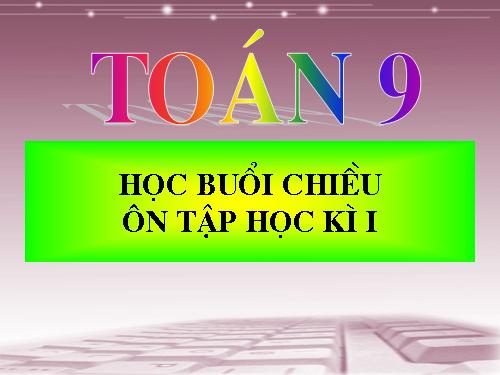 Ôn tập HKI Toán 9 buổi chiều