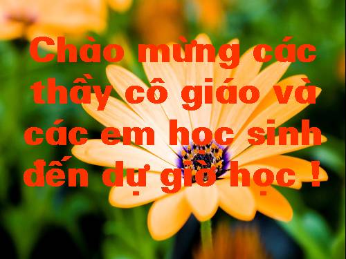 Chương II. §4. Đường thẳng song song và đường thẳng cắt nhau