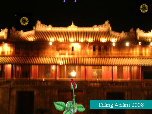 Các bài Luyện tập