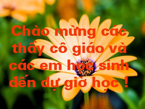 Chương II. §2. Hàm số bậc nhất