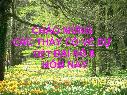 Chương II. §2. Hàm số bậc nhất