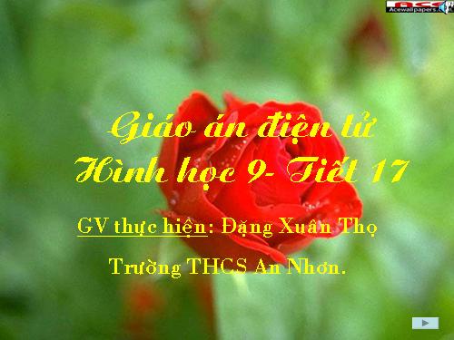 Các bài Luyện tập