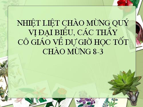 Chương IV. §4. Công thức nghiệm của phương trình bậc hai