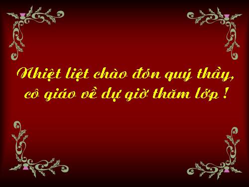 Các bài Luyện tập