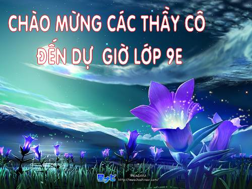 Các bài Luyện tập