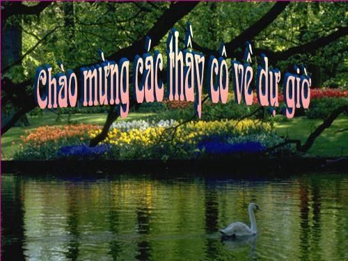 Chương IV. §2. Đồ thị của hàm số y = ax² (a ≠ 0)