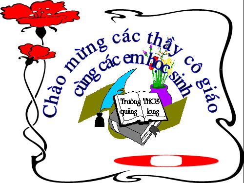 Các bài Luyện tập
