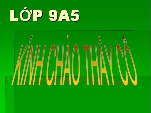 Ôn tập Chương IV. Hàm số y = ax² (a ≠ 0). Phương trình bậc hai một ẩn