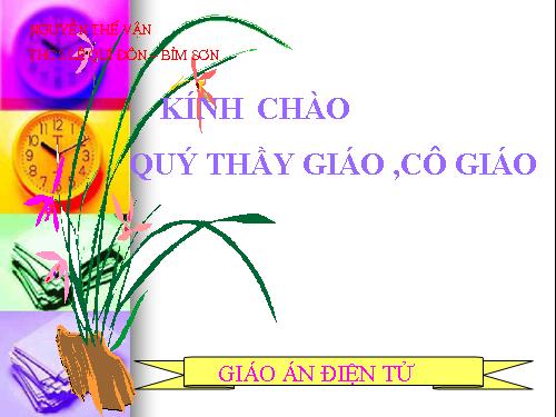 Các bài Luyện tập