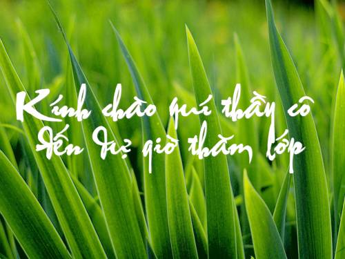 BÀI 39 PHÁT TRIỂN TỔNG HỢP KINH TẾ VÀ BẢO VỆ TÀI NGUYÊN MÔI TRƯỜNG BIỂN ĐẢO