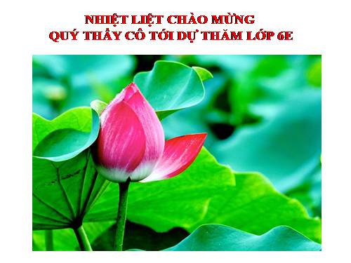 Bài 12. Tác động của nội lực và ngoại lực trong việc hình thành địa hình bề mặt Trái Đất
